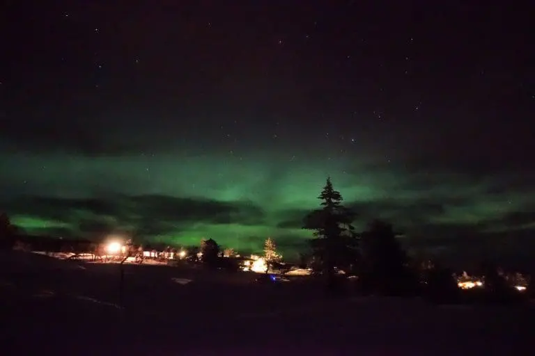 Noorderlicht spotten