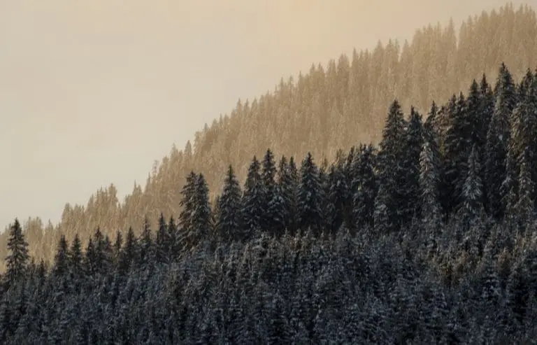 Zonsondergang sneeuw