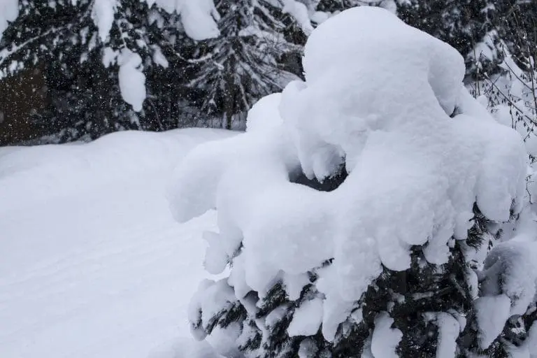 Sneeuw Königsleiten