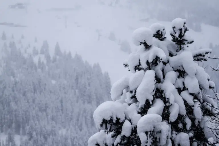 Sneeuwzekere skigebieden
