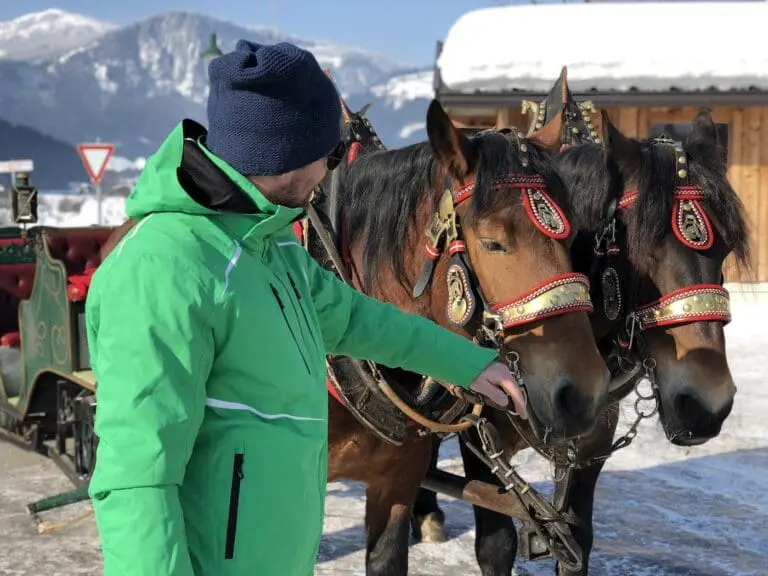Arrenslee met paarden Zillertal Arena