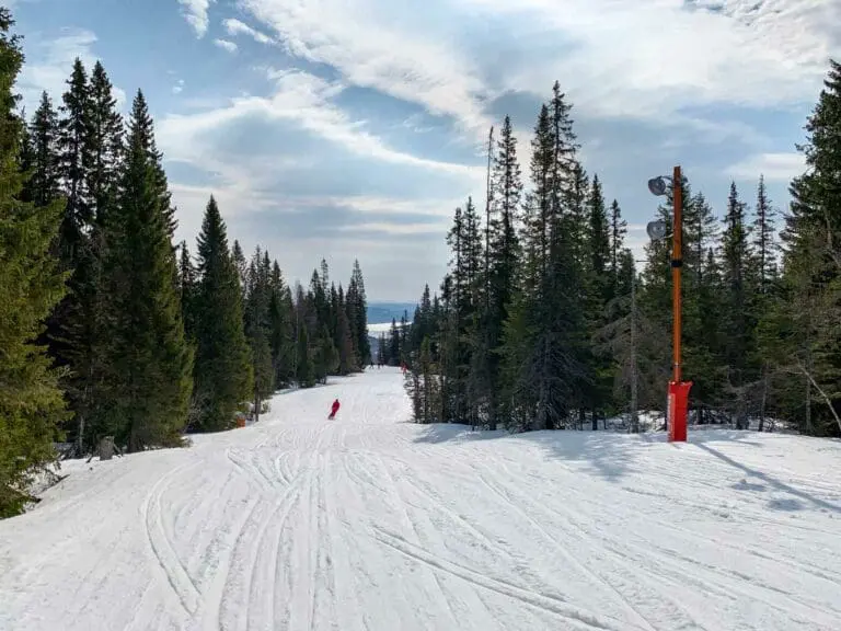 Piste tussen de dennenbomen in Åre