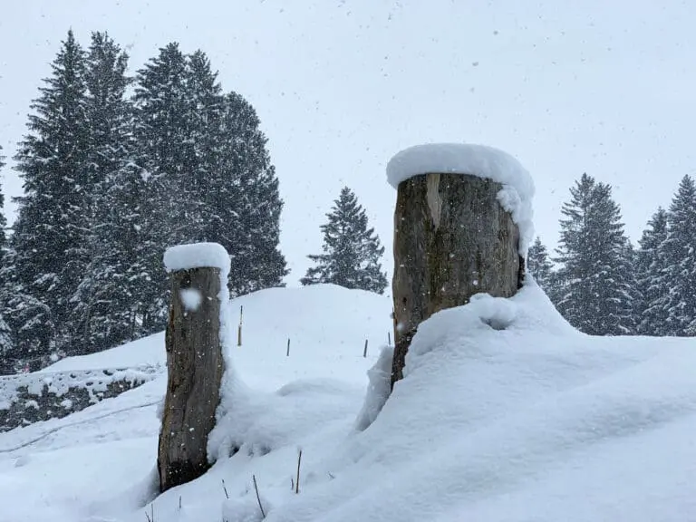 Sneeuw met sneeuwvlokken