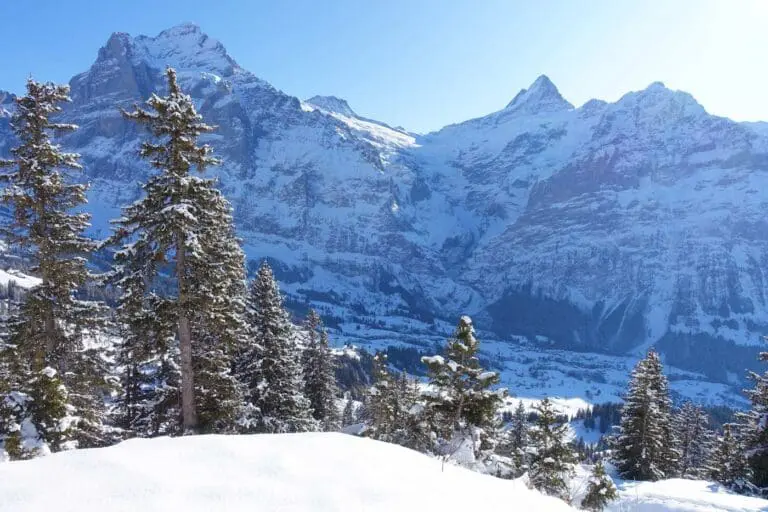 Uitzicht op bergen in Grindelwald