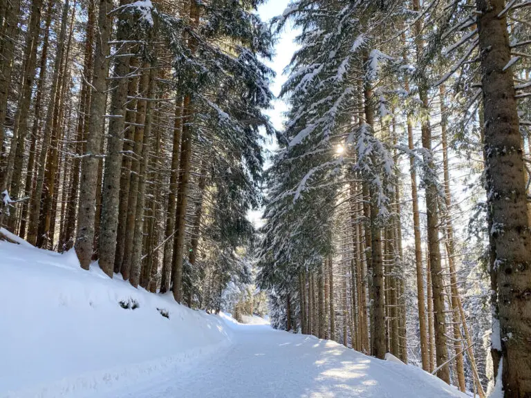 Sneeuwschoenwandelen in Châtel