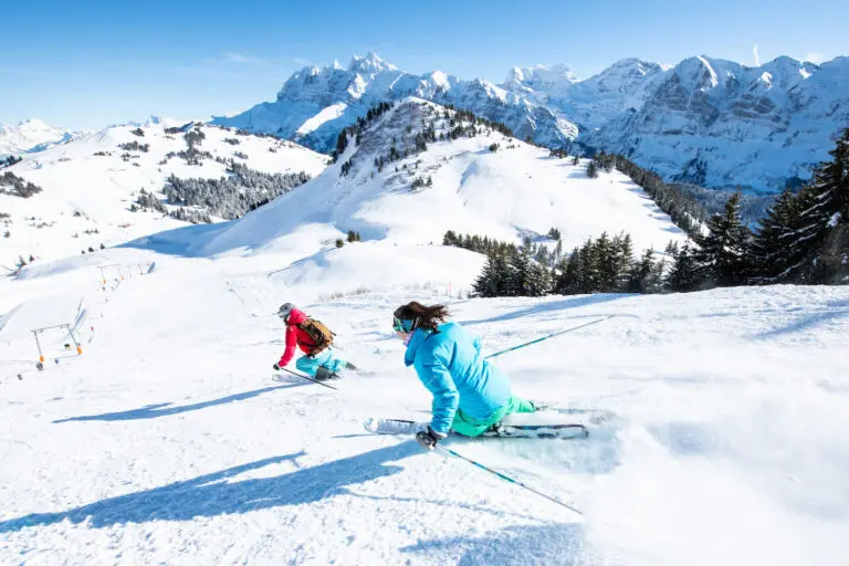 Skiën in Région Dents du Midi in Wallis