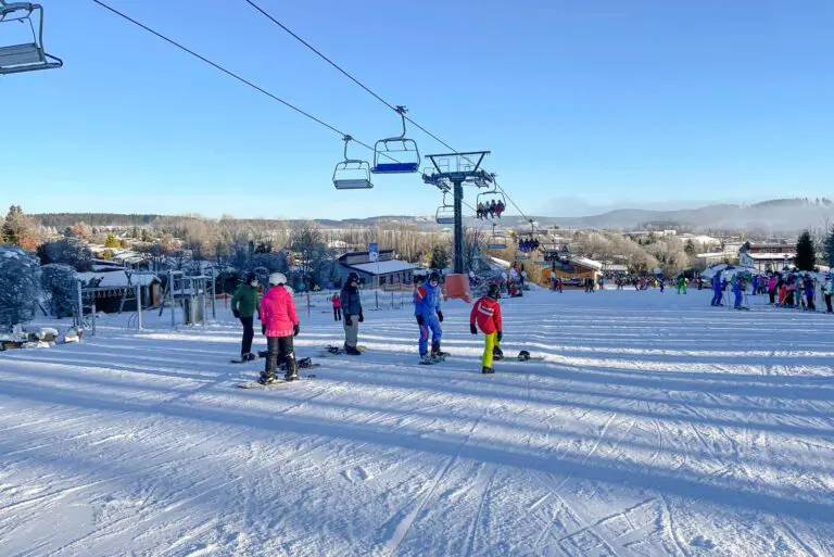 Rauher Busch Winterberg