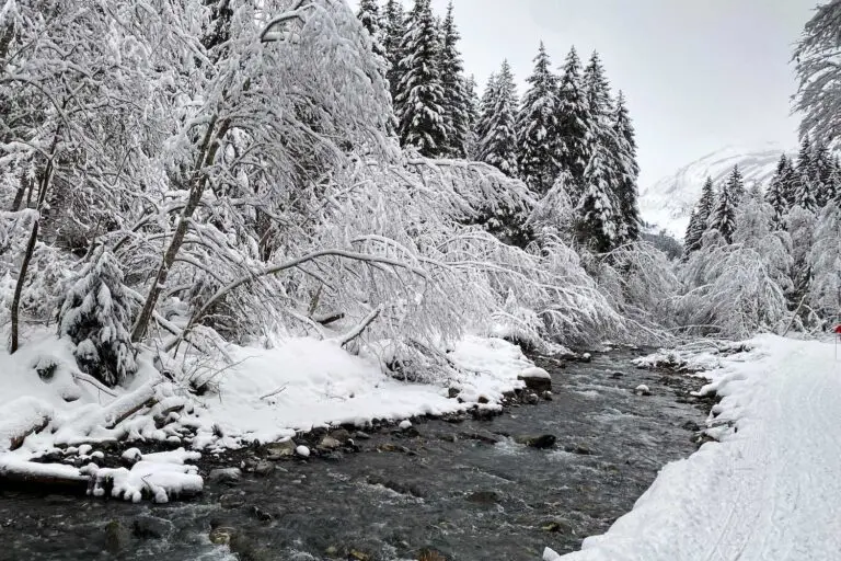 Sneeuw in het bos en bij het beekje in Morzine