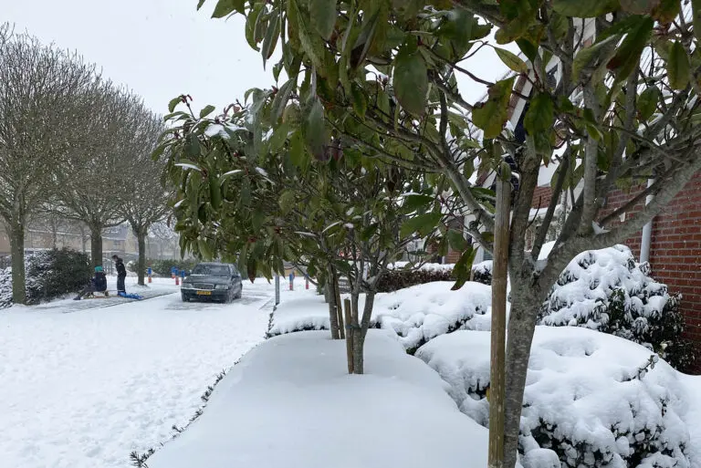 sneeuw in Nederland