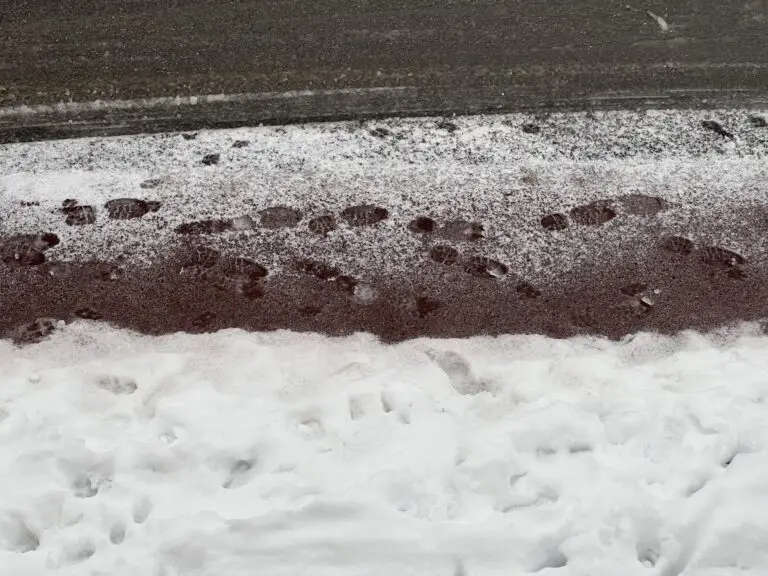 Natte sneeuw en regen