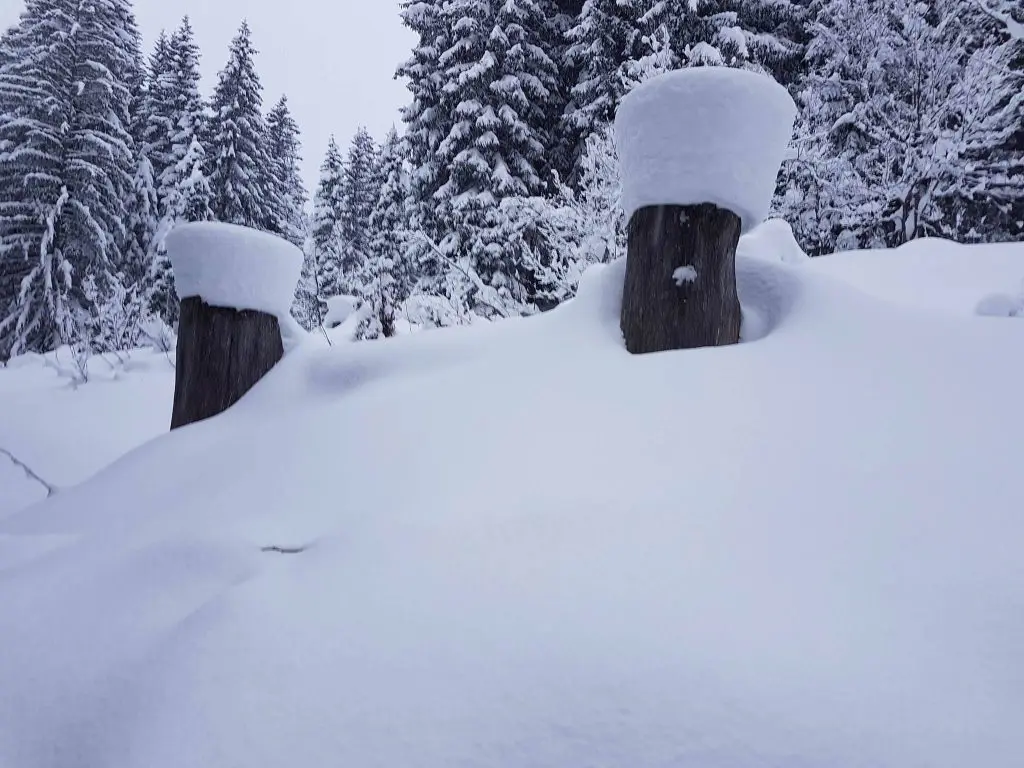 kleinwalsertal12