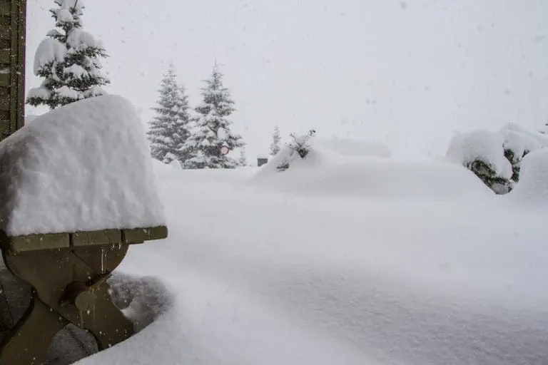 Sneeuw