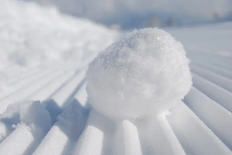 Sneeuwbal