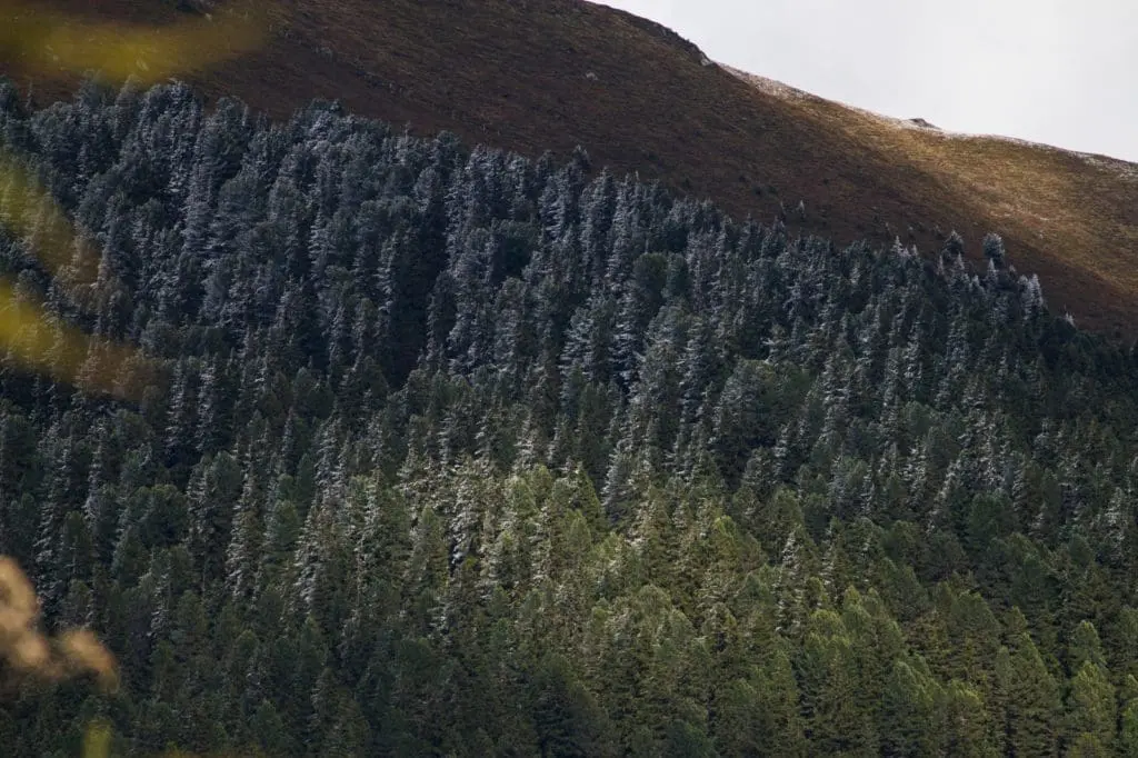 herfst in de Alpen