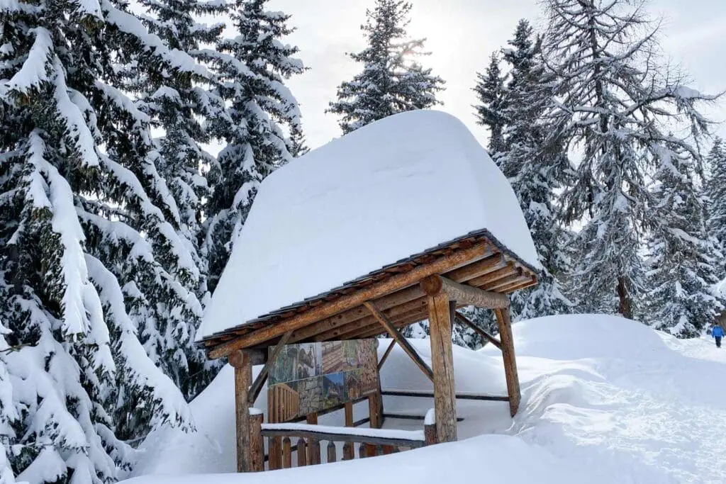 Sneeuw