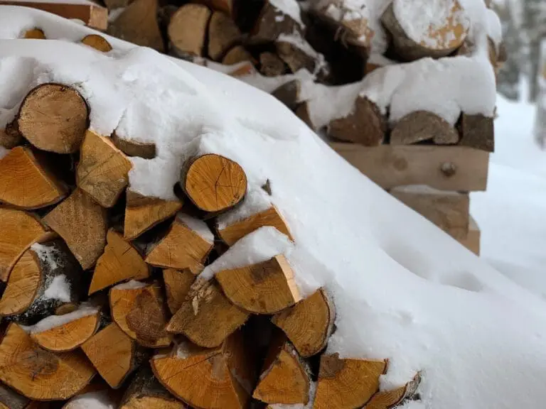 sneeuw op hout