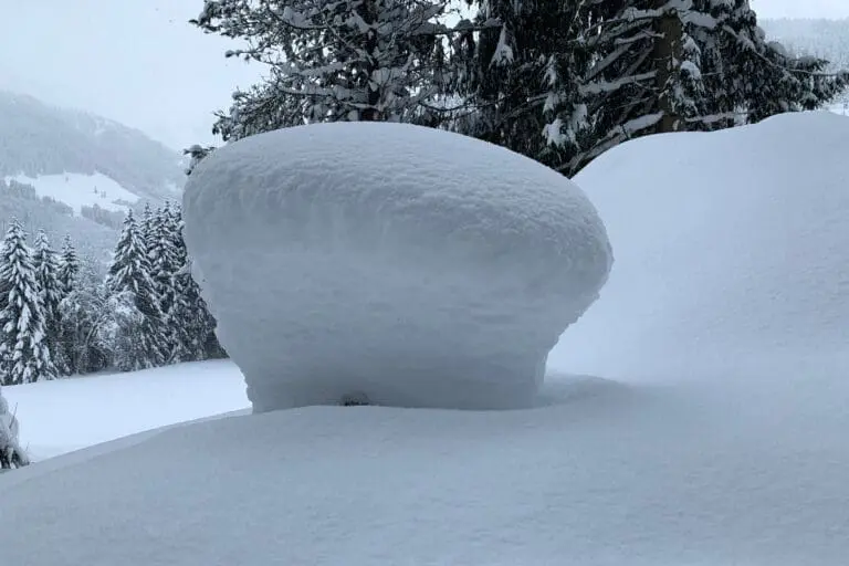 Sneeuw