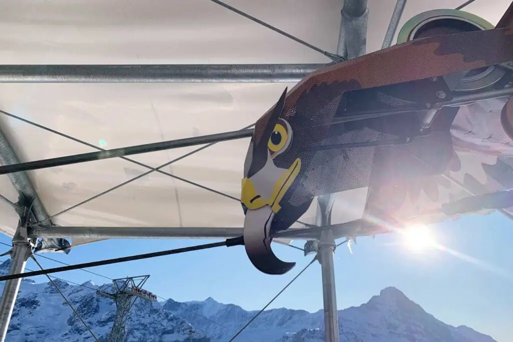 First Flieger Grindelwald