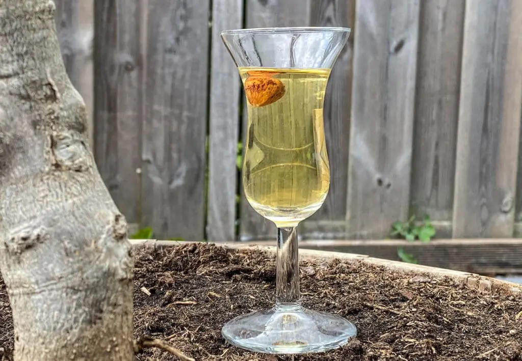 Hazelnoot Schnapps