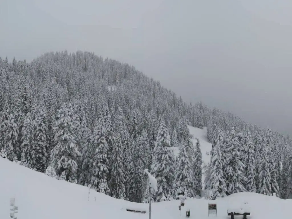 Webcambeeld Brandnertal