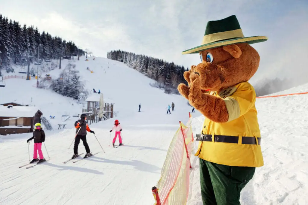 Bollo Landal Winterberg