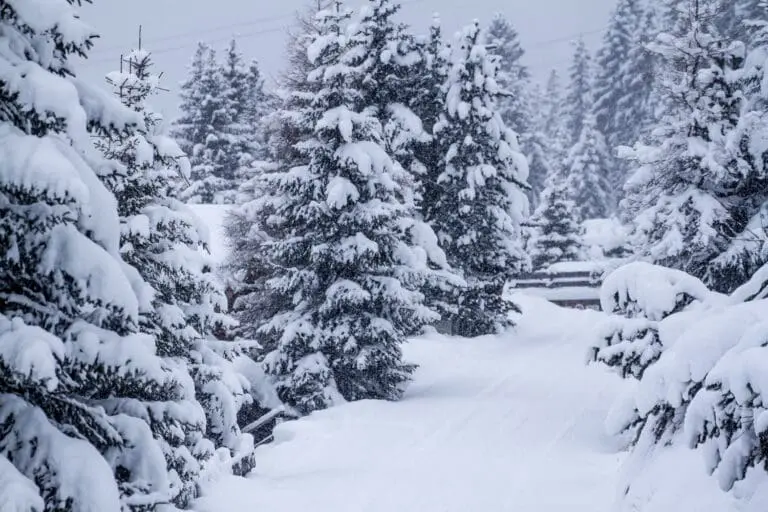 verse sneeuw