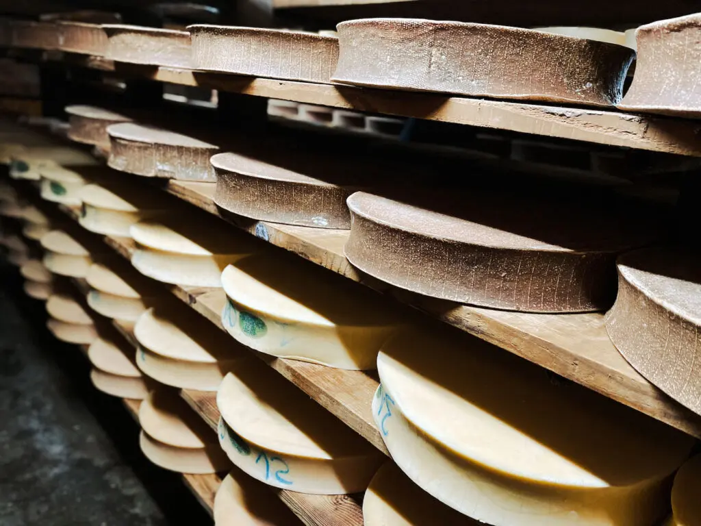 Abondance kaas in de kaaskelder in boerderij in Châtel