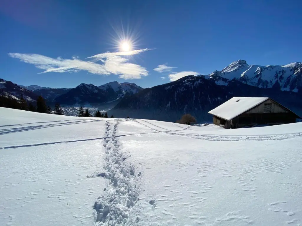 Sneeuwschoenwandelen in Chatel