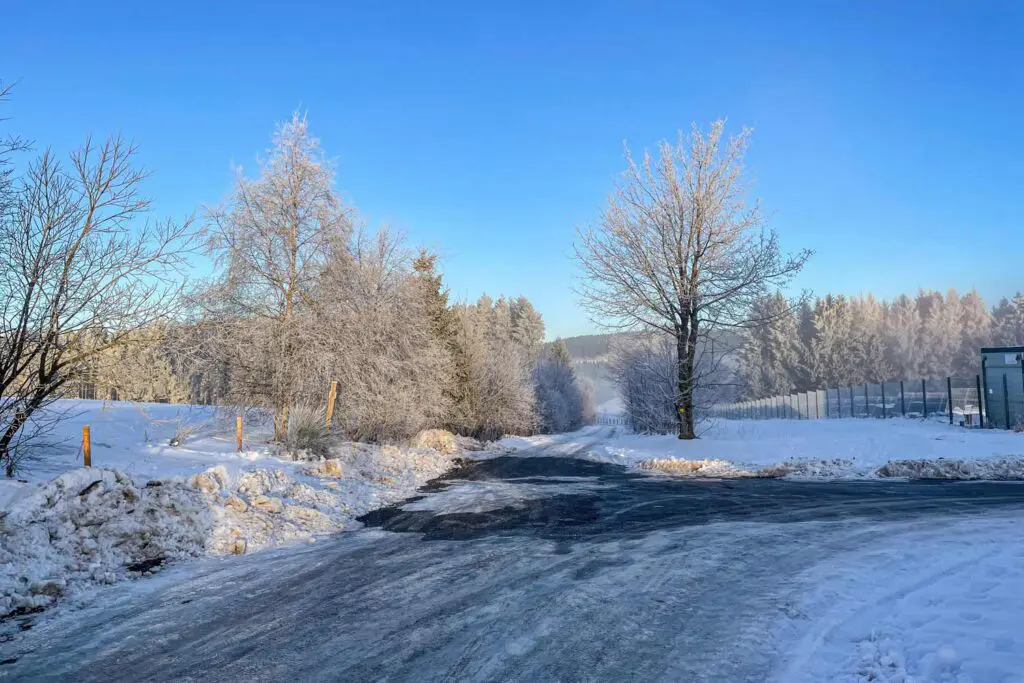 Bomen met bevroren laagje