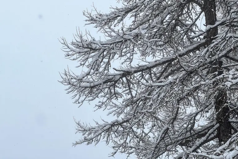 sneeuw in Sölde