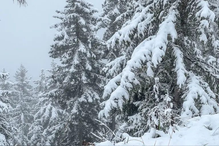 sneeuw