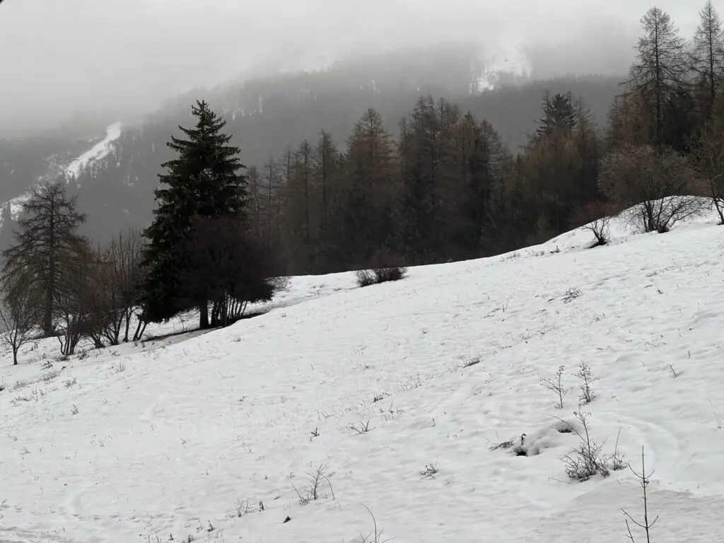 Natte vieze sneeuw in de Alpen