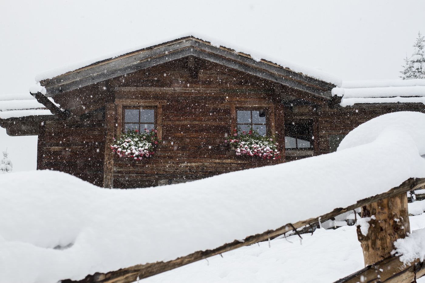 Sneeuw op hek bij huis