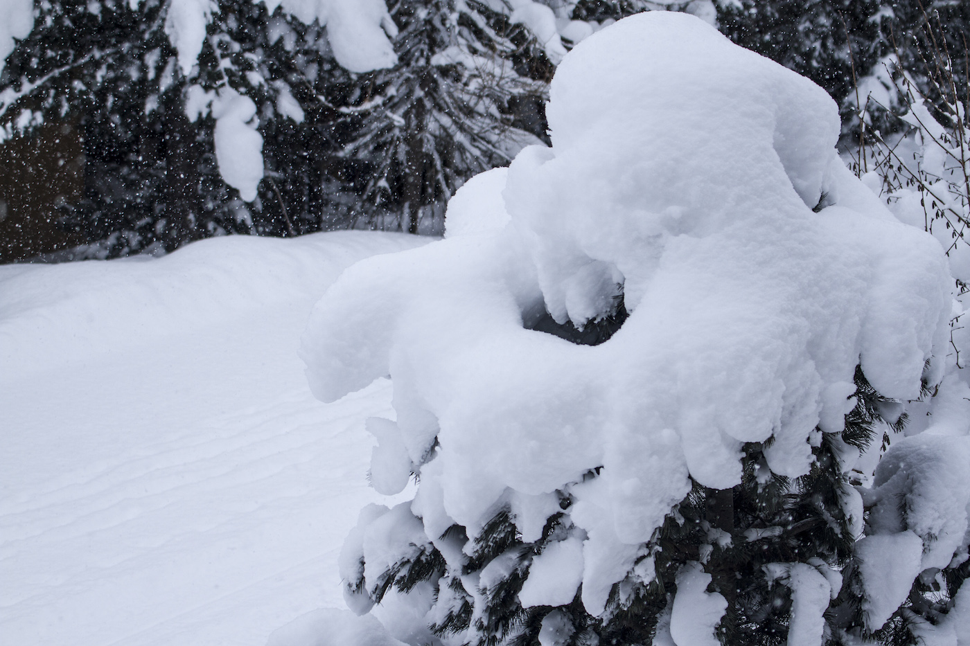 Sneeuw Königsleiten