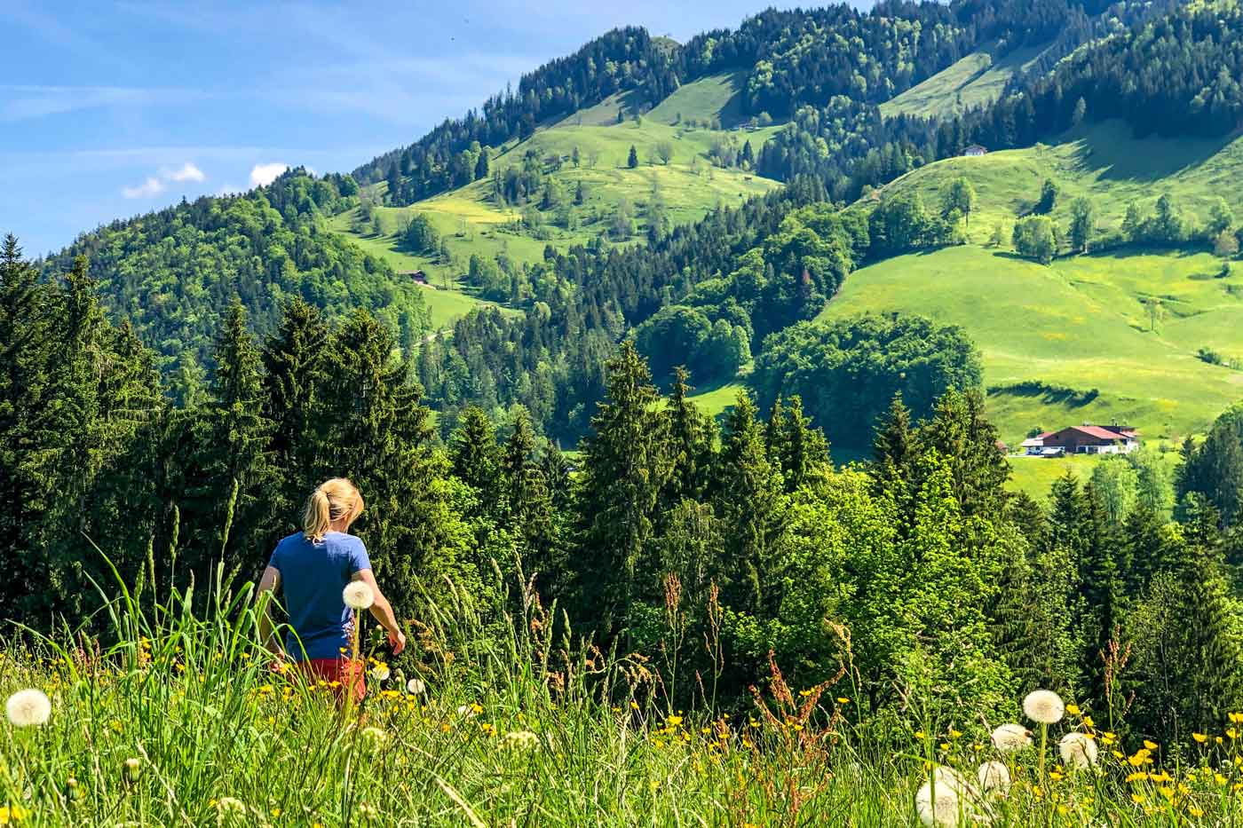 Wanderung über eine Bergwiese