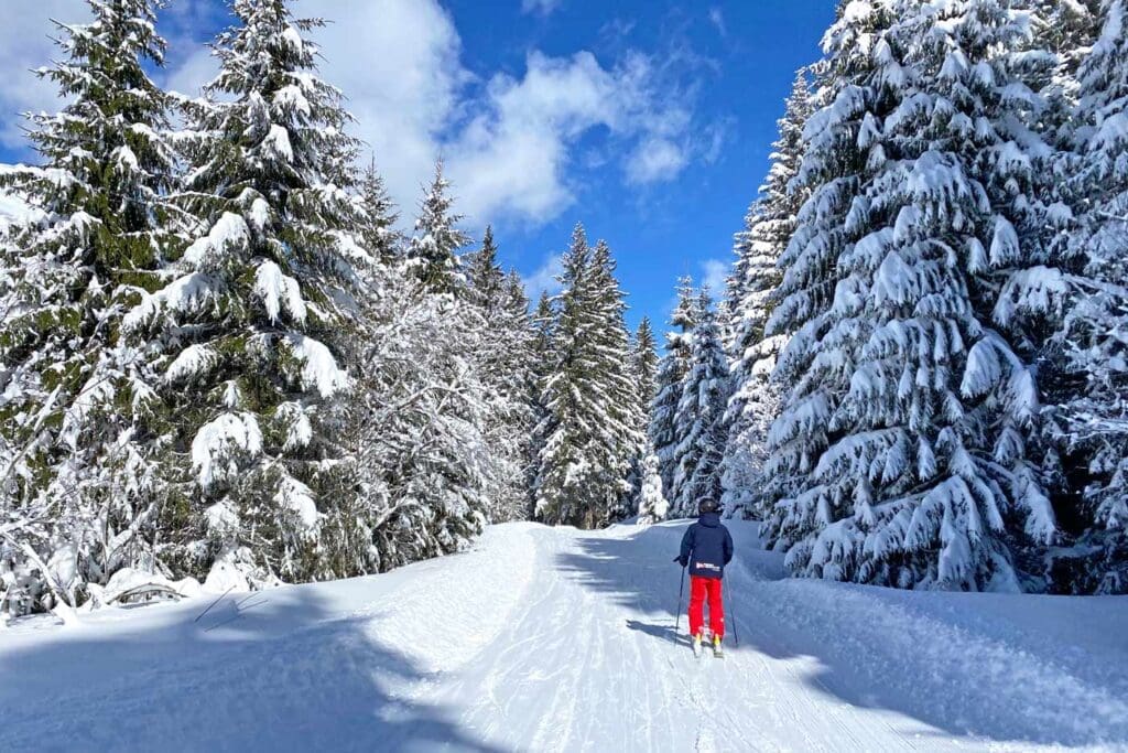 Skifahren in schneesicheren Skigebieten