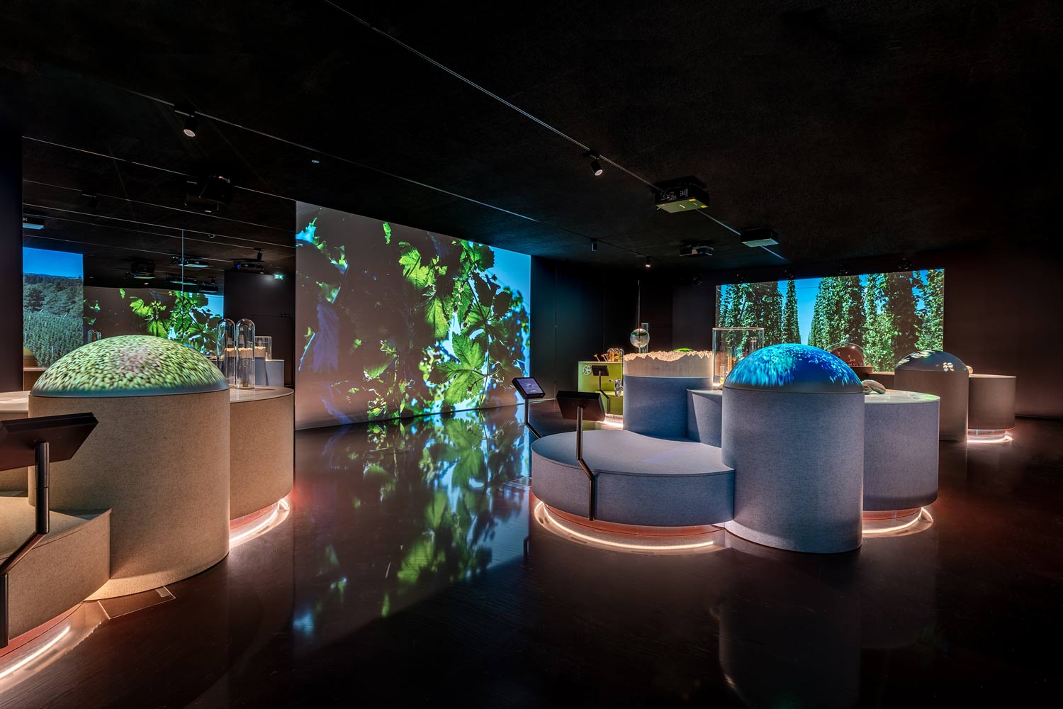 Multimediatentoonstelling BrauKunstHaus