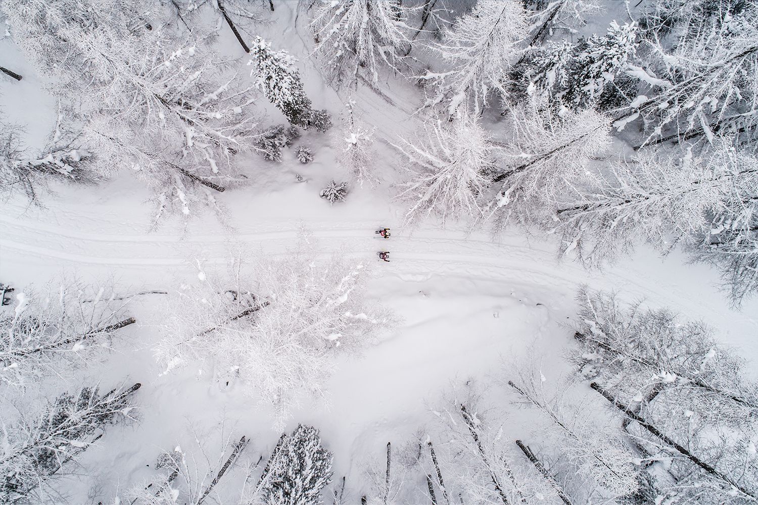 Activiteiten in Saas-Fee/Saastal - sneeuwschoenwandelen