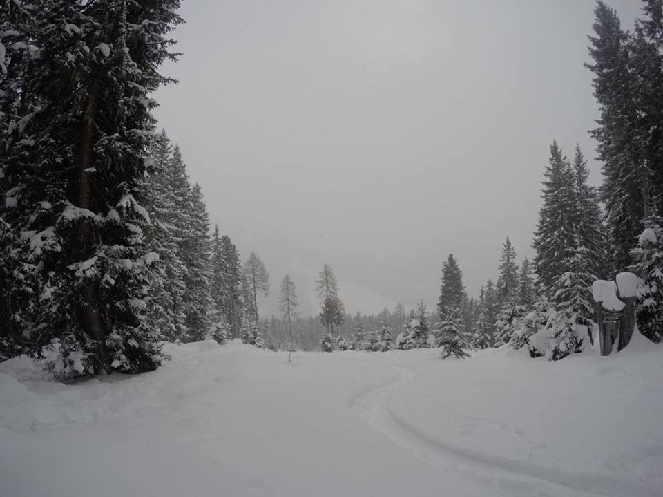 Zillertal Arena
