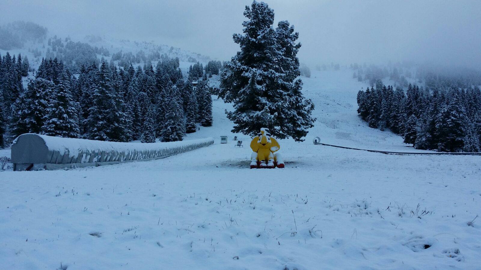 sneeuwupdate-vi