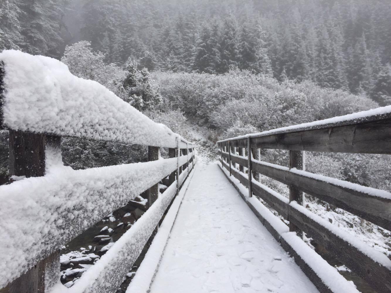 sneeuwupdate-vii