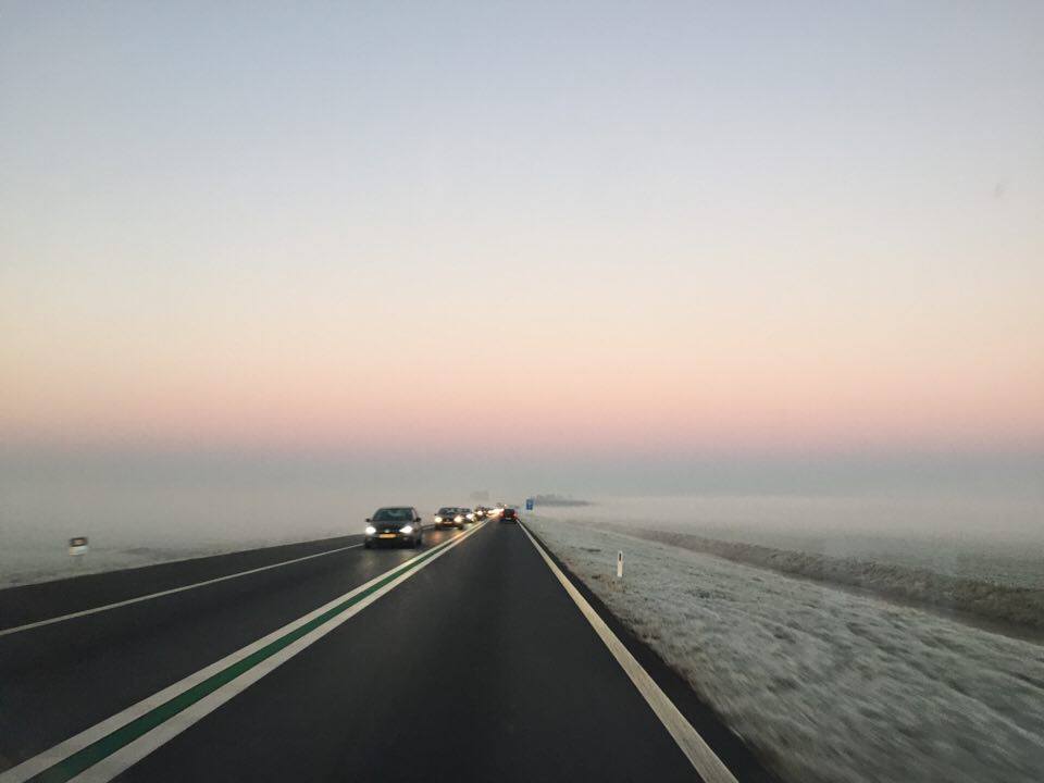 vorst-nederland-vriezen