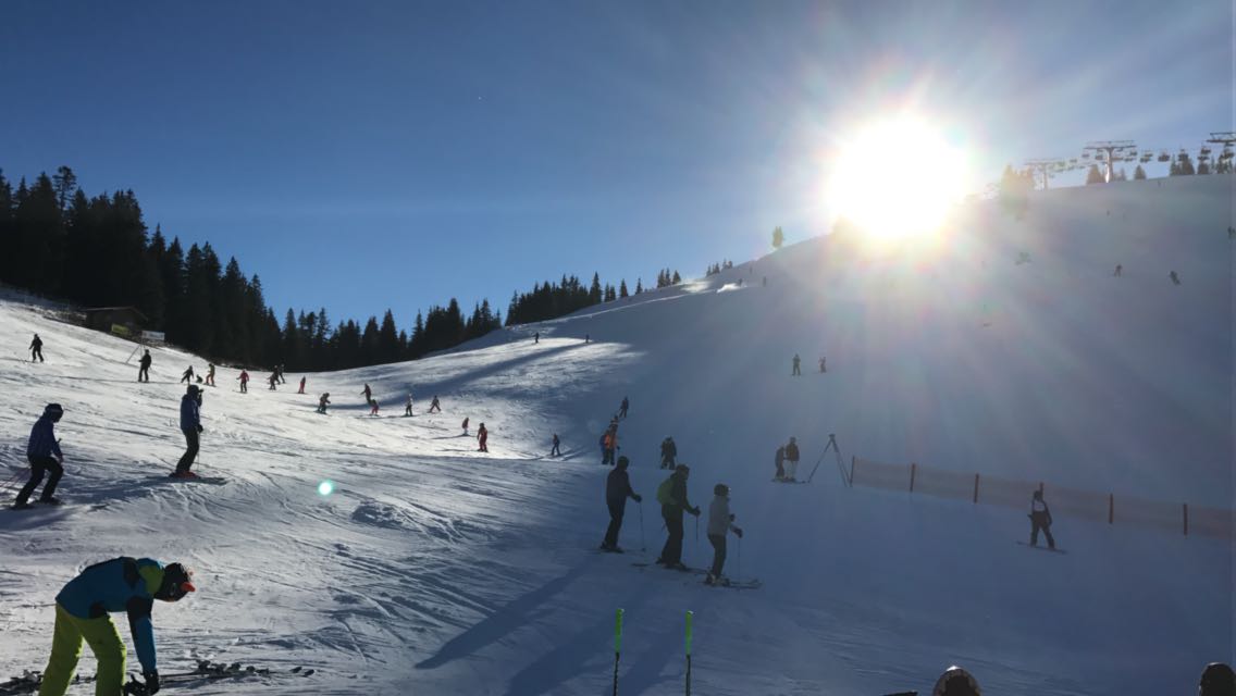 8c881c62-f3f9-406e-858c-e8efda4304ff