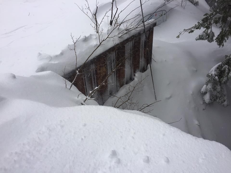 15873513_10158143506035249_4614727172637380644_n