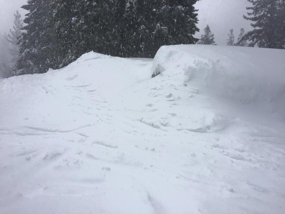 15895395_10158143505860249_1041912967520228427_n