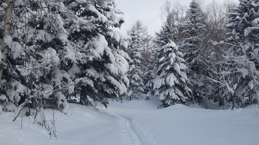 6. Winter Wonderland