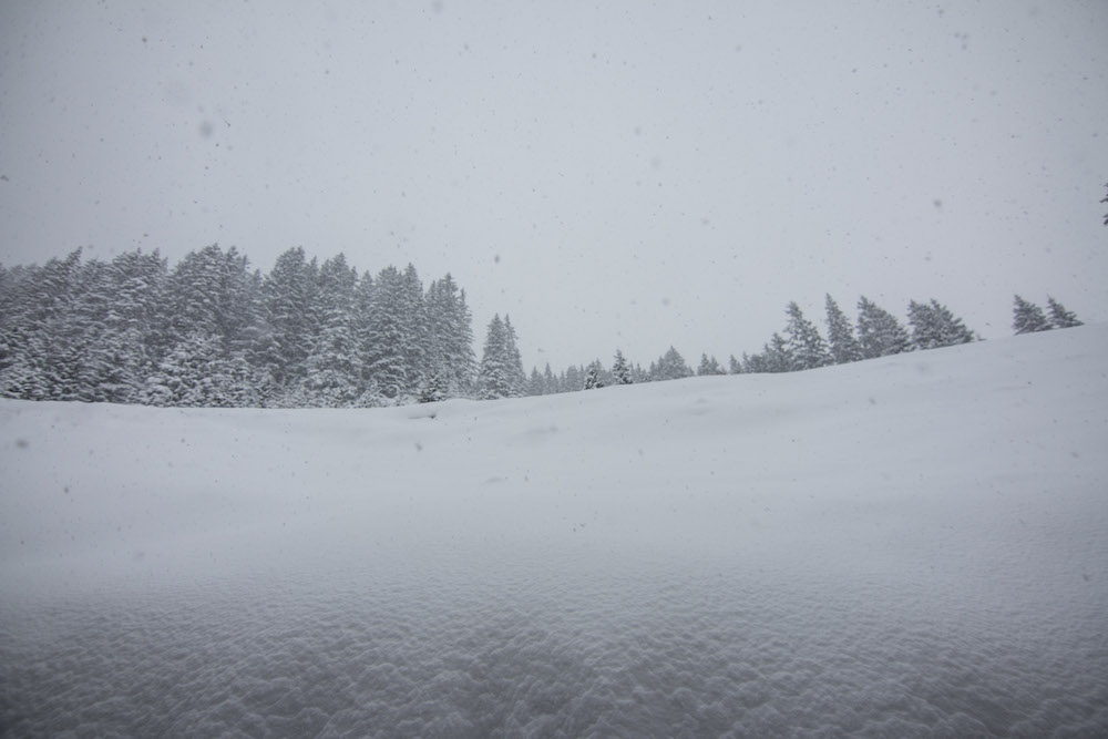 neuschnee-10