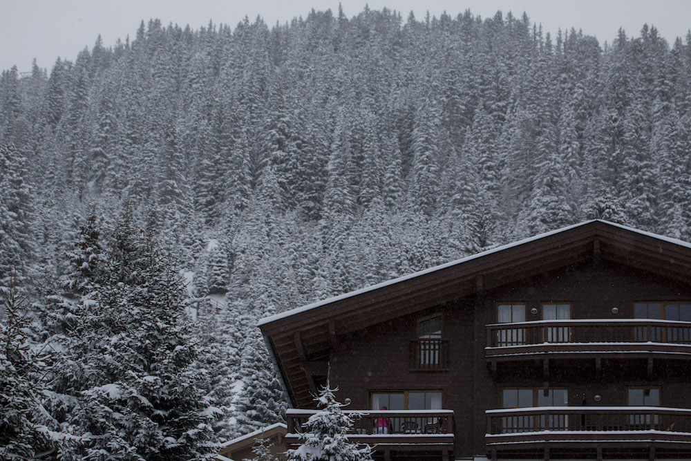 neuschnee-7
