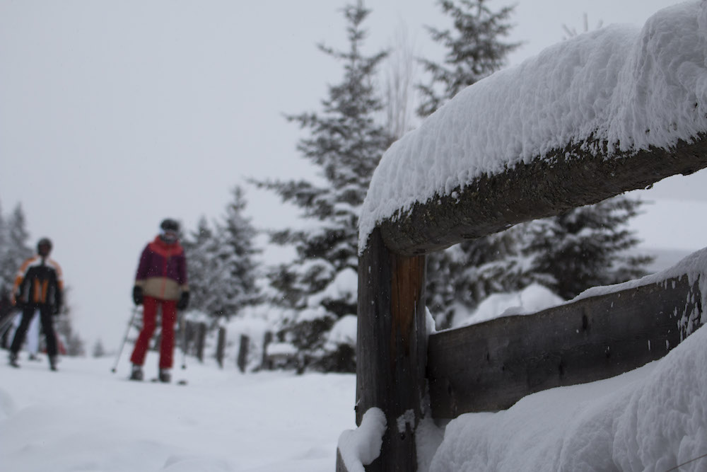 neuschnee-8