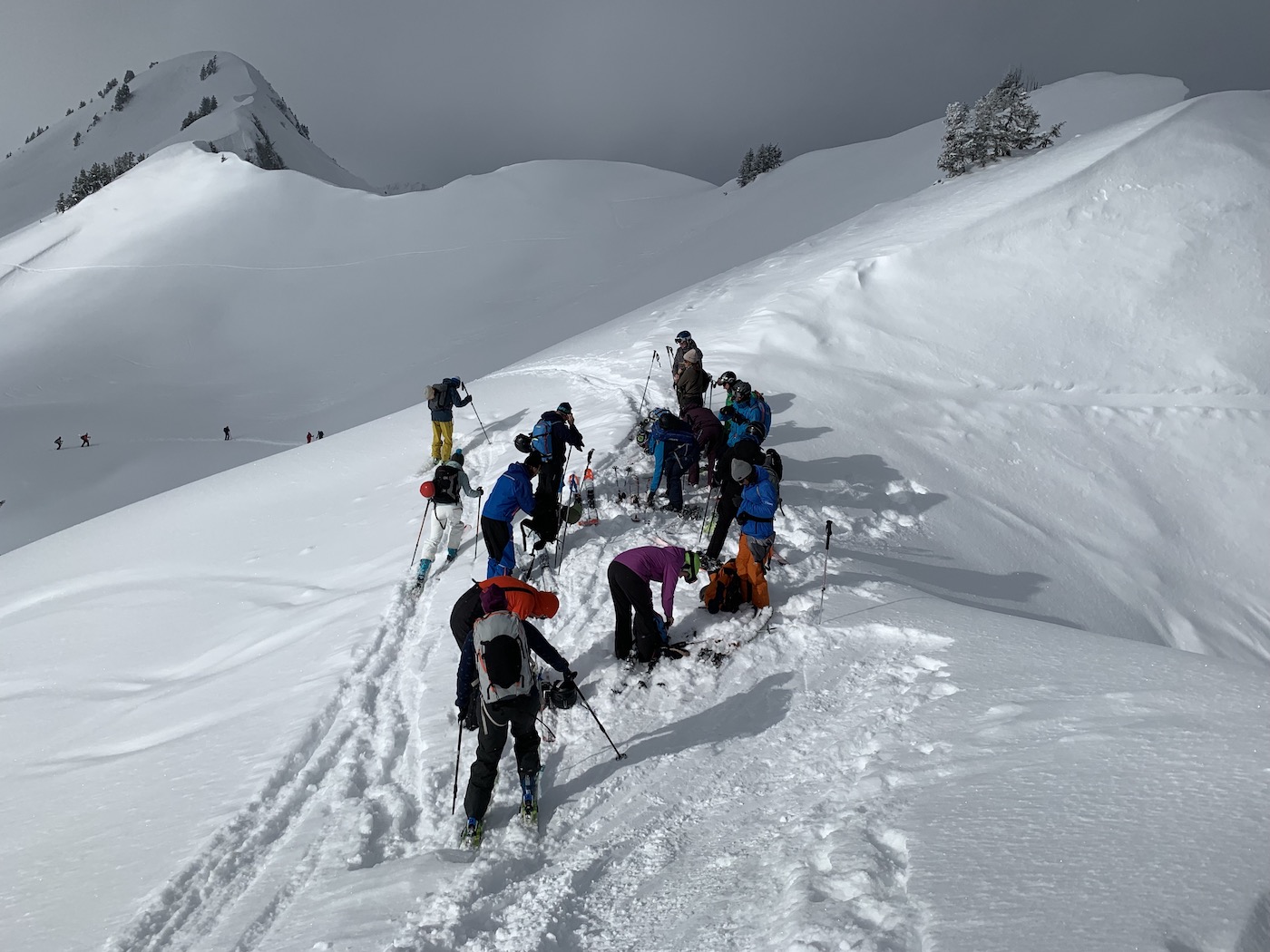 Workshop freeride experience